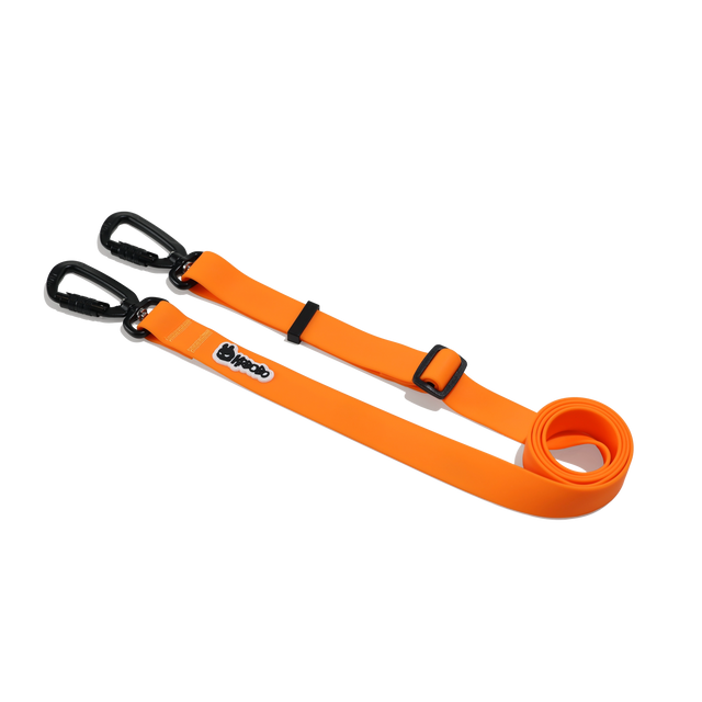 MULTIFUNCTIONAL LEASH