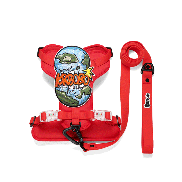 ON THE GO WALK KIT