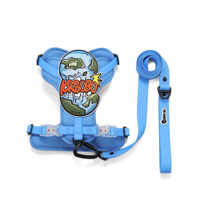 ON THE GO WALK KIT