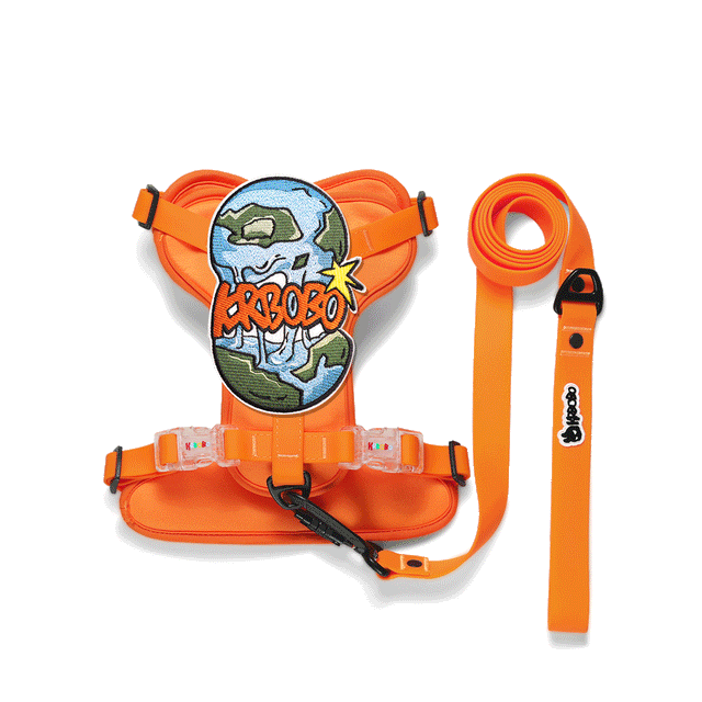 ON THE GO WALK KIT