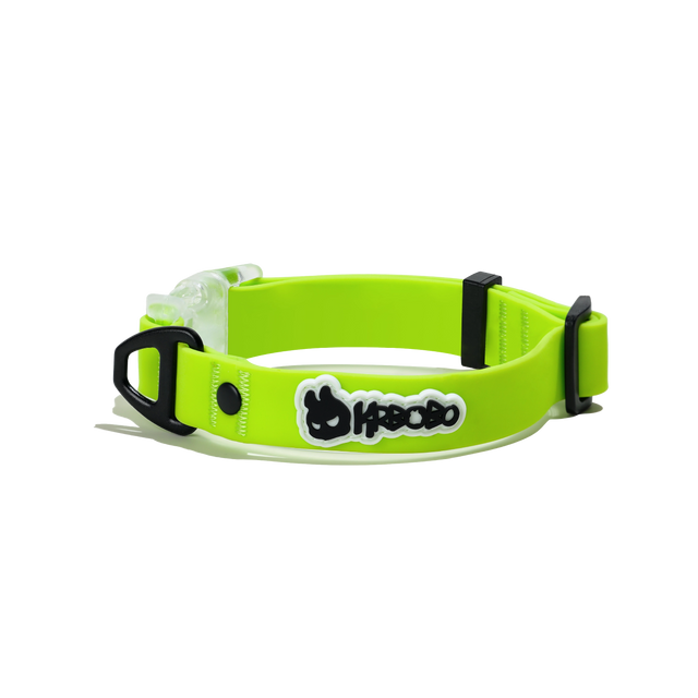 CLASSIC COLLAR