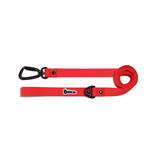 CLASSIC LEASH