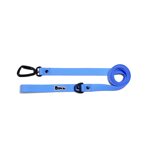 CLASSIC LEASH