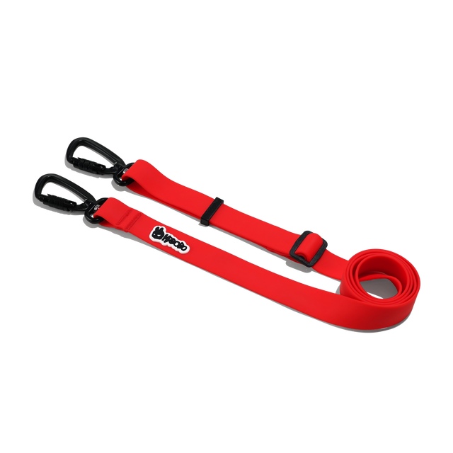 MULTIFUNCTIONAL LEASH