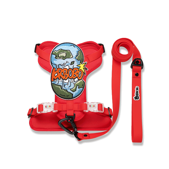 ON THE GO WALK KIT