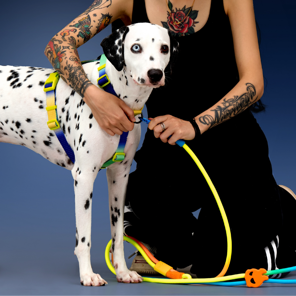 dog-model-Dino