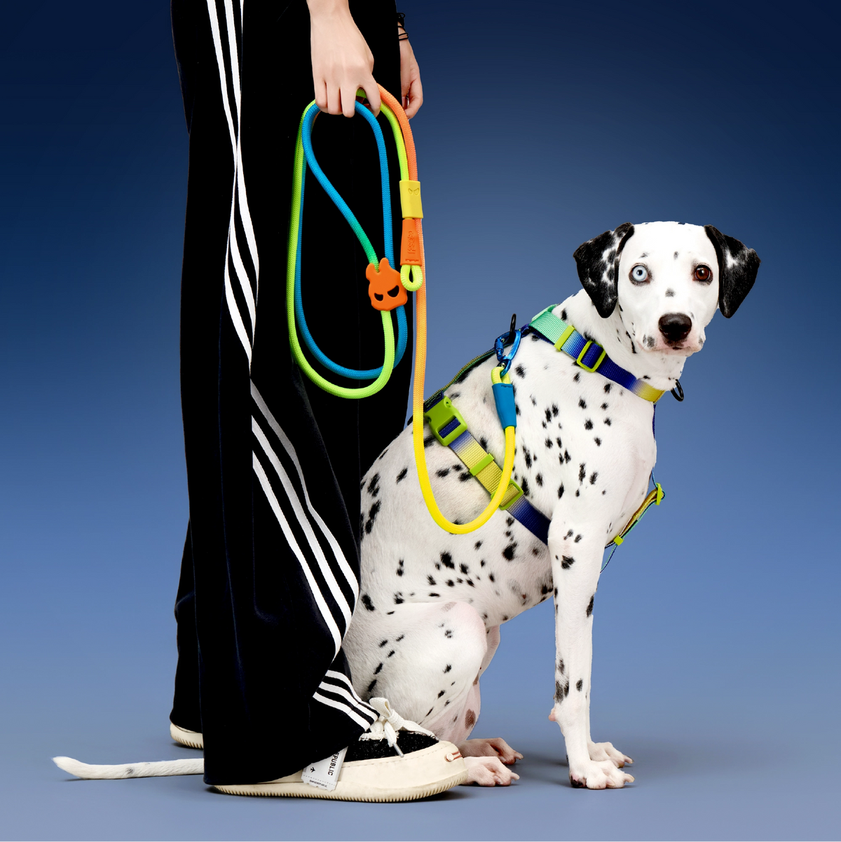 dog-model-Dino