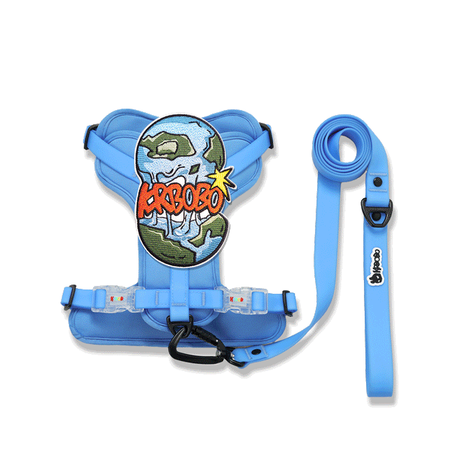 ON THE GO WALK KIT
