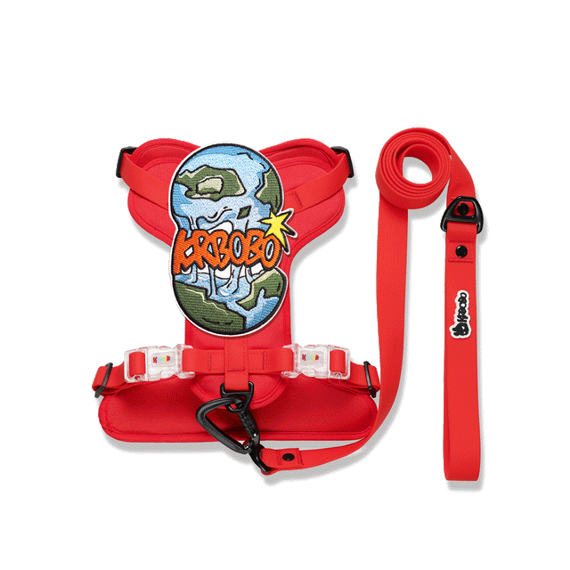 ON THE GO WALK KIT
