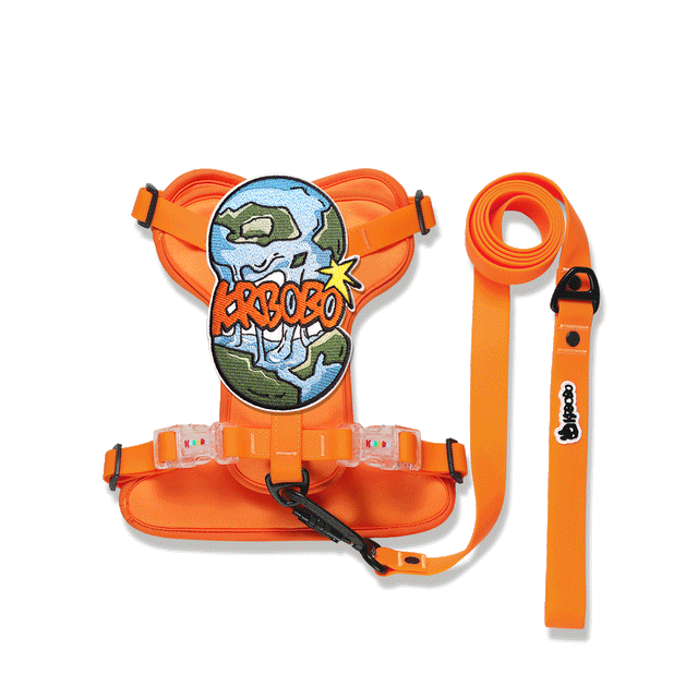 ON THE GO WALK KIT