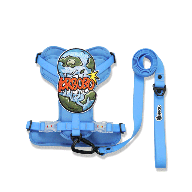 ON THE GO WALK KIT