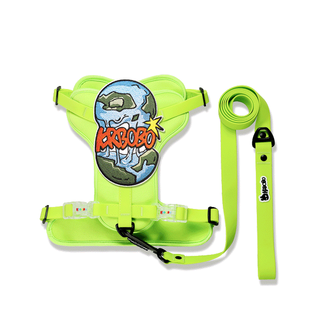 ON THE GO WALK KIT