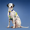 KRBOBO THERMAL TRAIL Harness