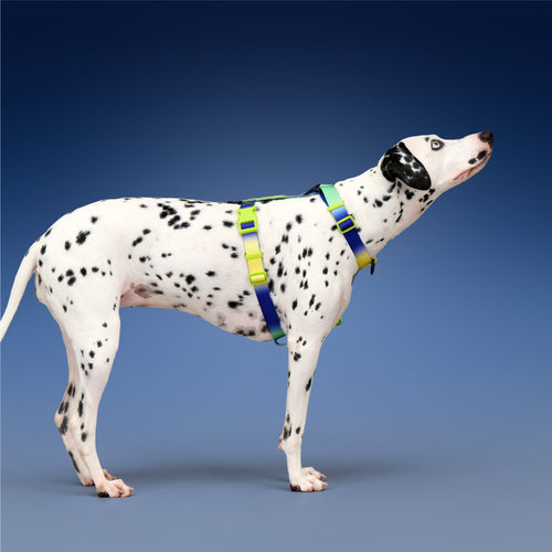 KRBOBO THERMAL TRAIL Harness