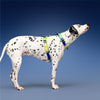 KRBOBO THERMAL TRAIL Harness