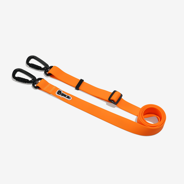 MULTIFUNCTIONAL LEASH