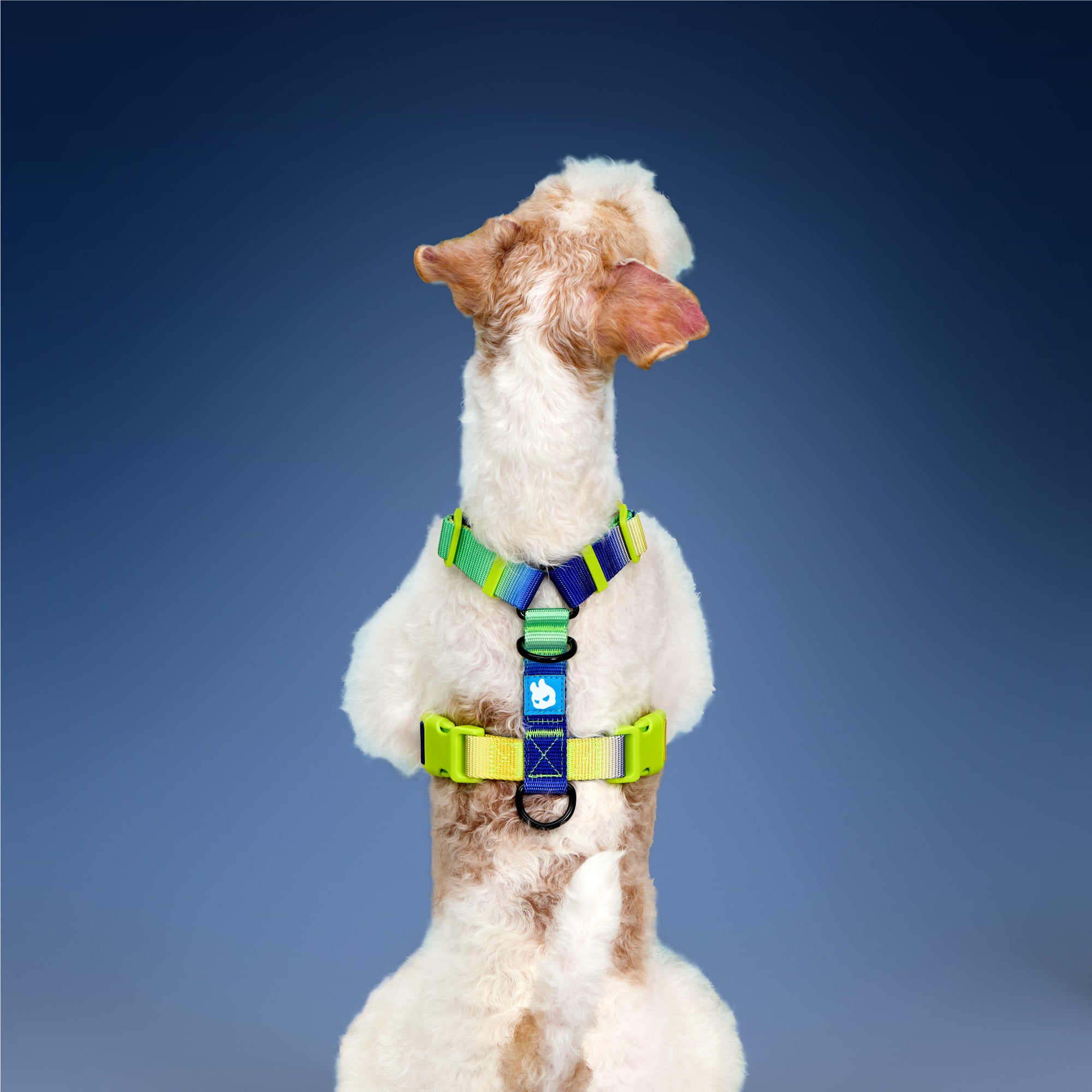 KRBOBO THERMAL TRAIL Harness