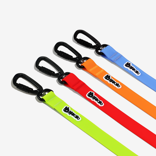 MULTIFUNCTIONAL LEASH