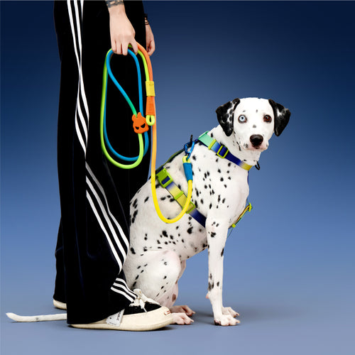 KRBOBO THERMAL TRAILS  Rope Leash