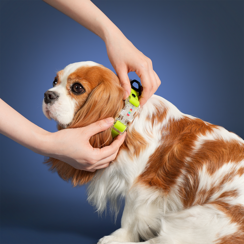 KRBOBO COLLAR