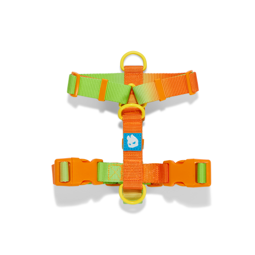 H-HARNESS
