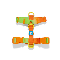 H-HARNESS