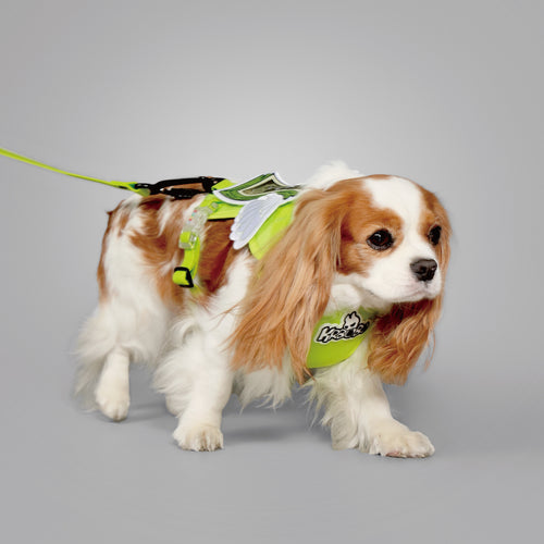 KRBOBO HARNESS