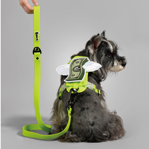 ON-THE-GO WALK KIT