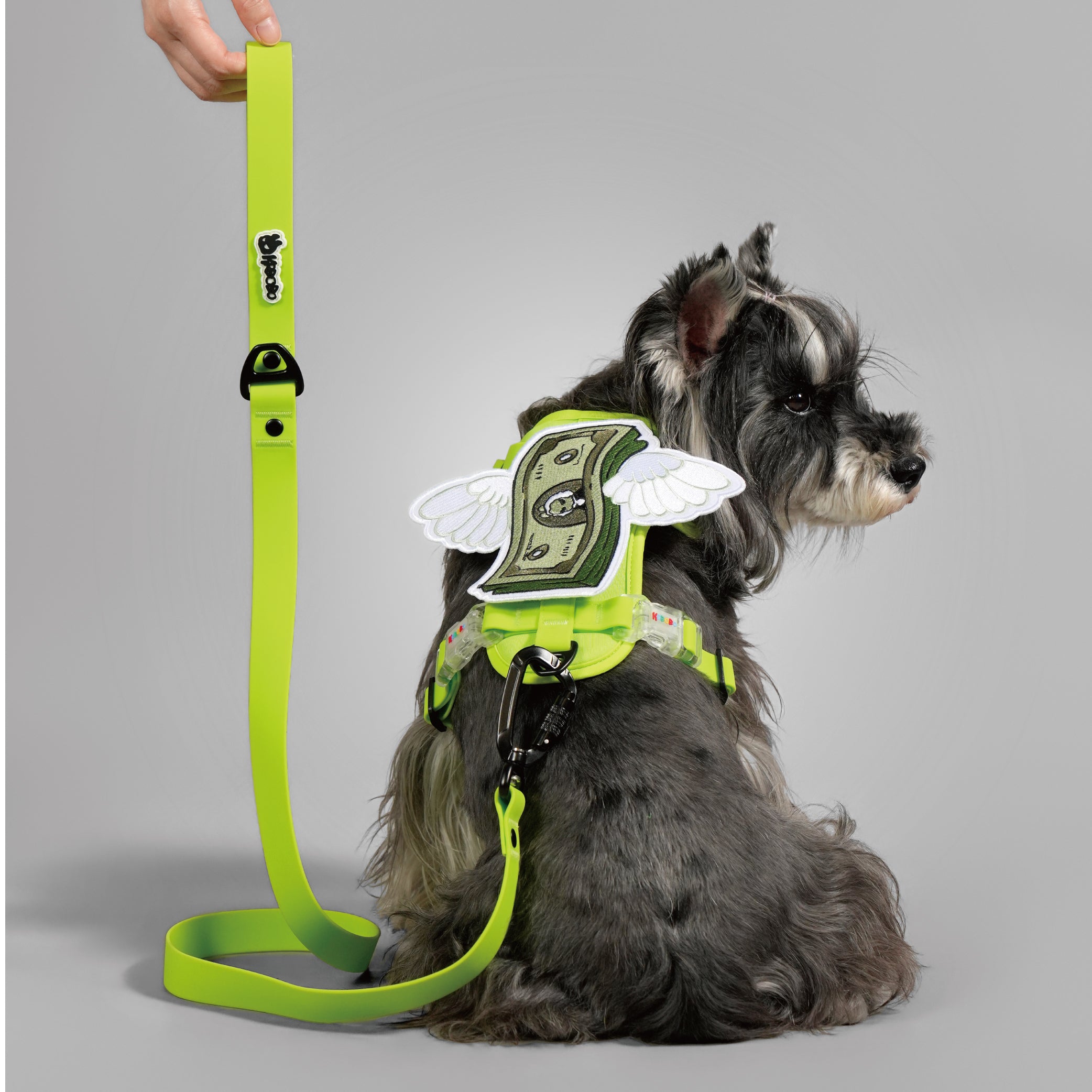 ON-THE-GO WALK KIT