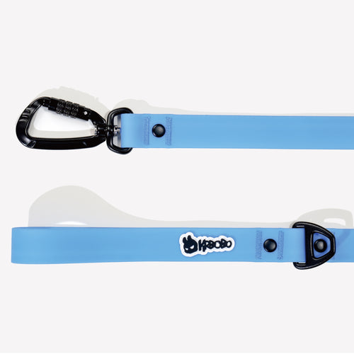 CLASSIC LEASH