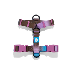 H-HARNESS