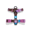 H-HARNESS