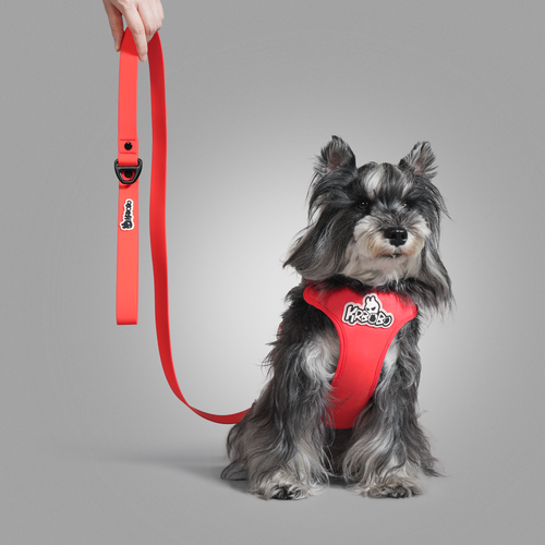 ON-THE-GO WALK KIT