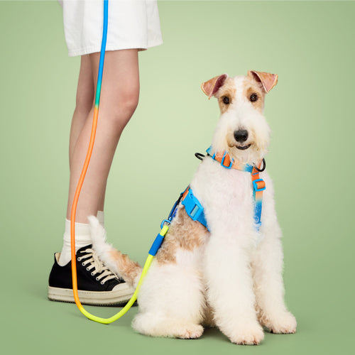 KRBOBO THERMAL TRAIL Harness