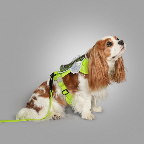 ON-THE-GO WALK KIT
