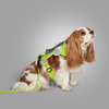 ON-THE-GO WALK KIT