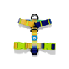 H-HARNESS