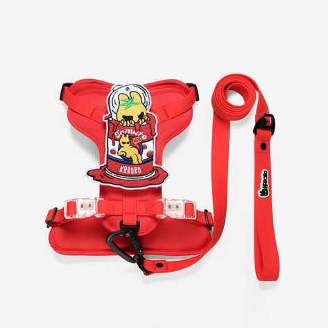 ON-THE-GO WALK KIT