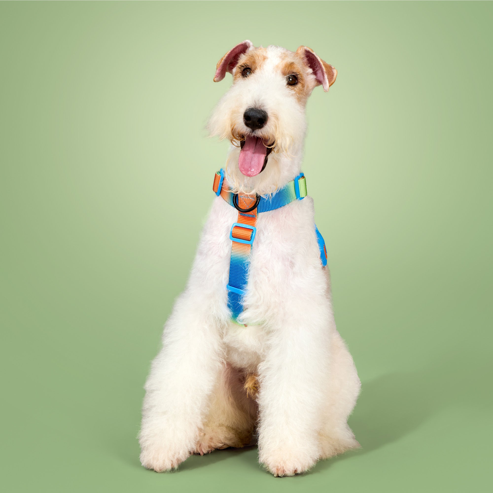 KRBOBO THERMAL TRAIL Harness