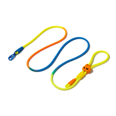 HANDS-FREE LEASH