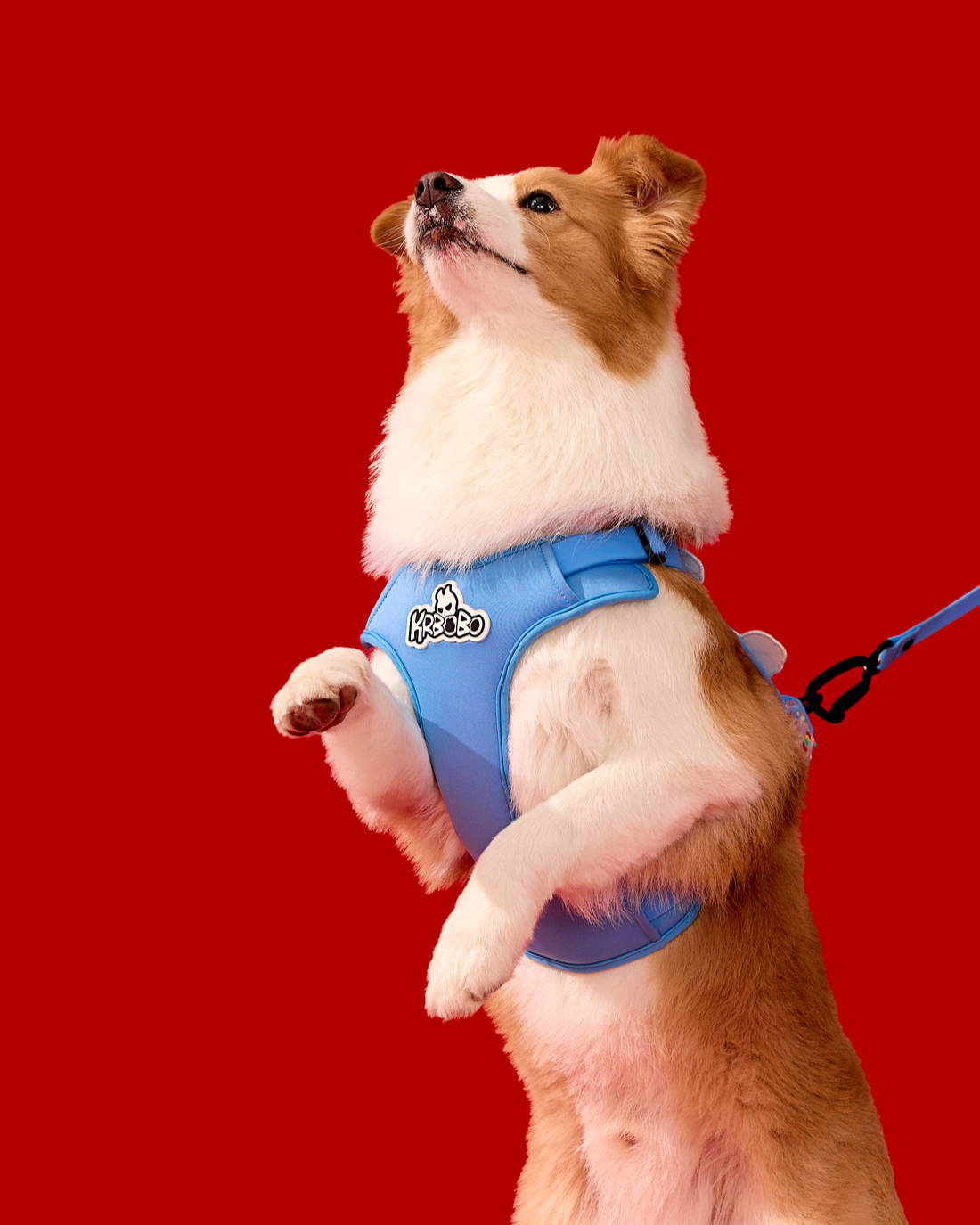 KRBOBO DOG Customizable Harness