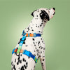 KRBOBO THERMAL TRAIL Harness