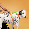 KRBOBO THERMAL TRAILS Walk Kit