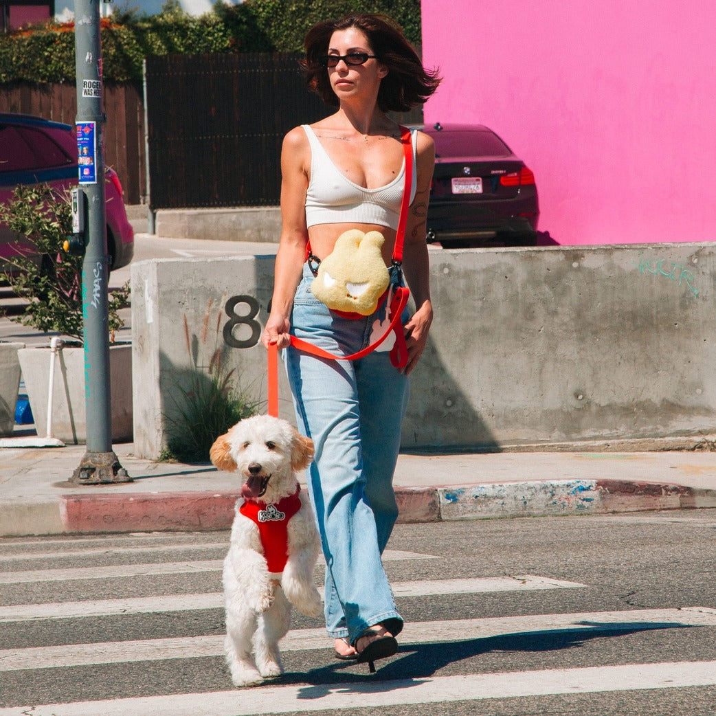 Walk Kit