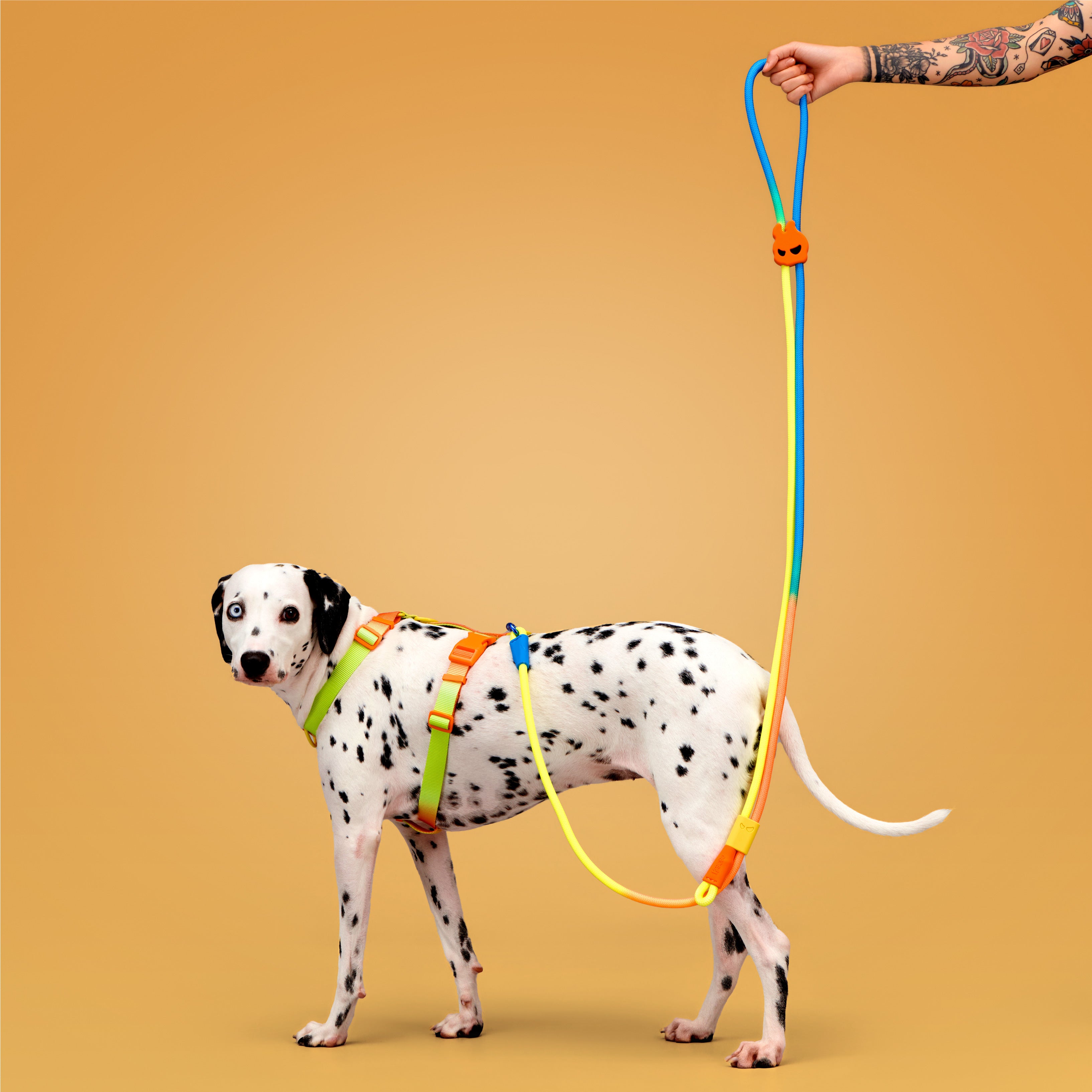 KRBOBO THERMAL TRAILS Walk Kit