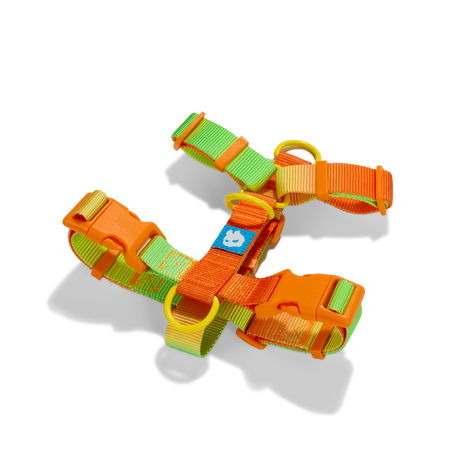  Solar