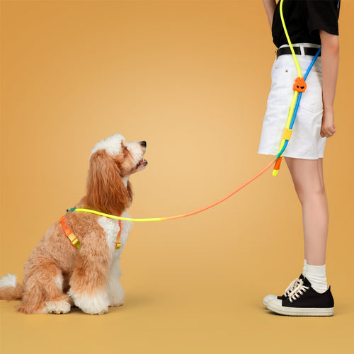 KRBOBO THERMAL TRAILS Walk Kit