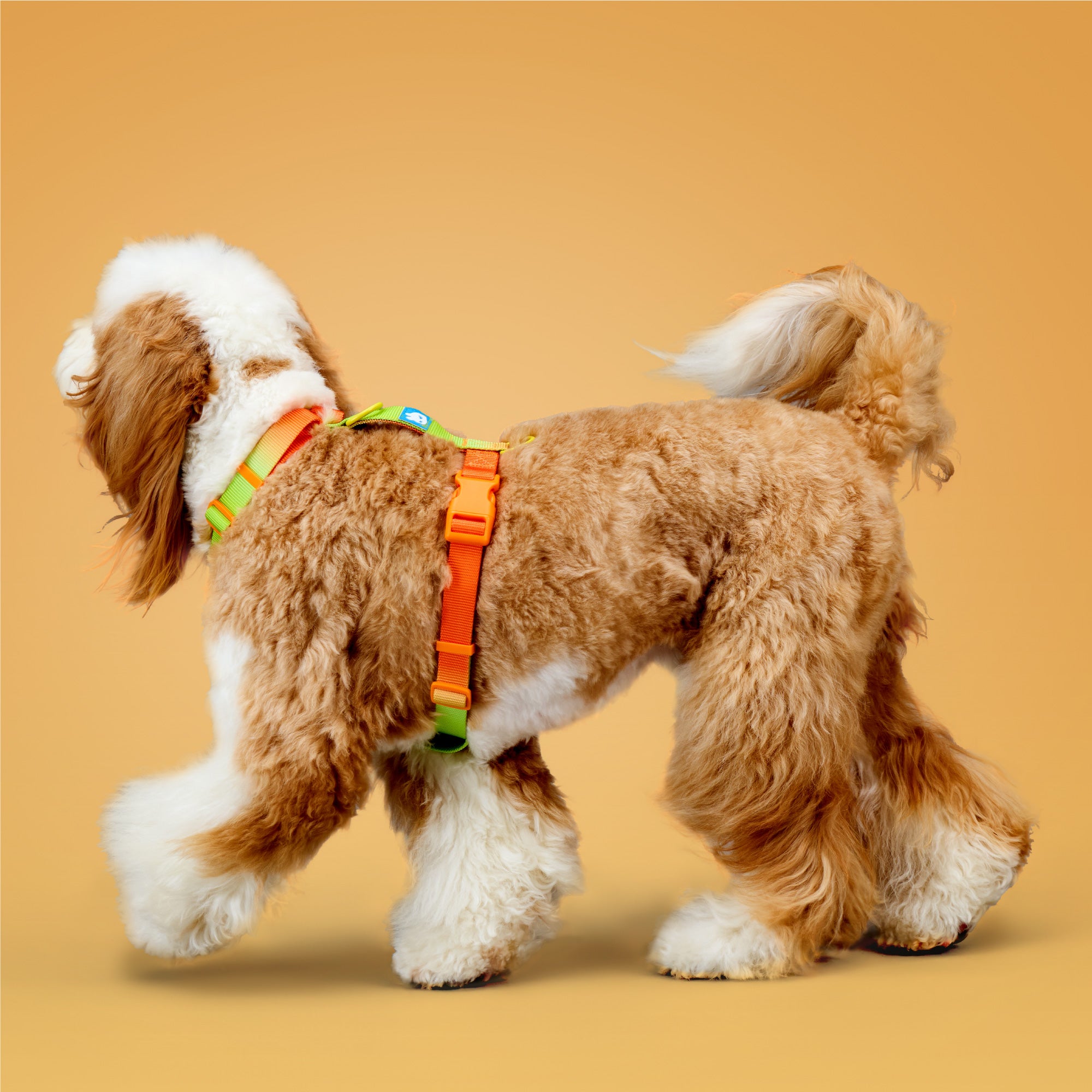 KRBOBO THERMAL TRAIL Harness