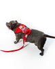 Dog Harness