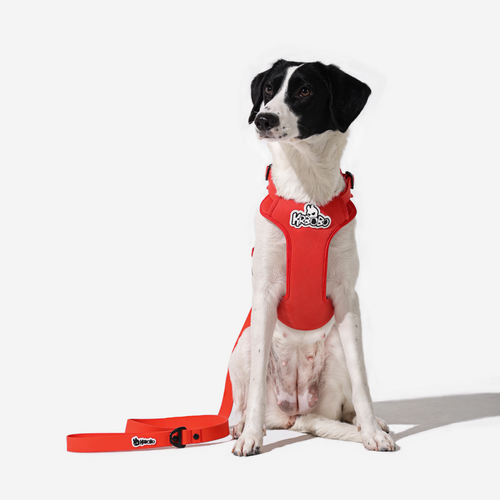 KRBOBO HARNESS